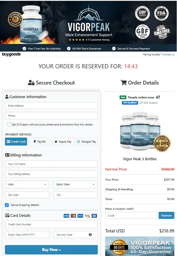 Vigor Peak Secure Billing Interface